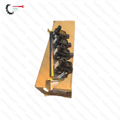 تصویر از کوئل شاهین شرکتی